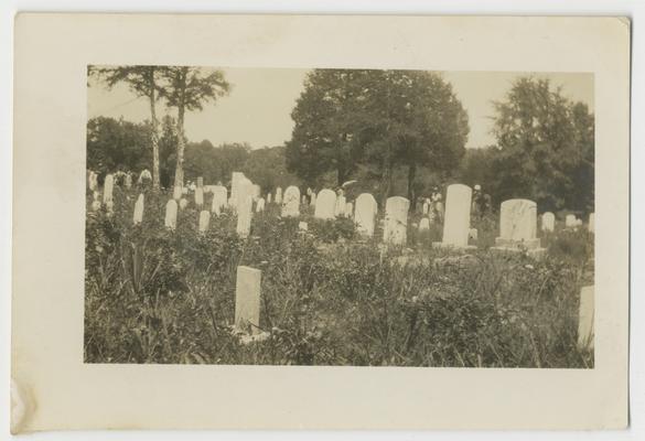 View of gravestones in a cemetery