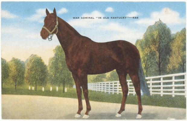 War Admiral 'In Old Kentucky'-K84. (Printed verso reads: 