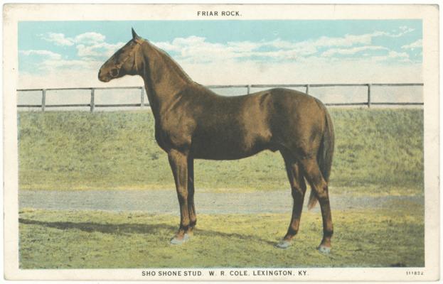 Friar Rock, Sho Shone Stud, W.R. Cole, Lexington, KY. [Horses]