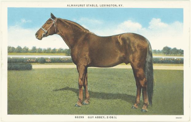 Almahurst Stable, Lexington, KY. 68299 - Guy Abbey, 2:06 1/4. (Printed verso reads: 