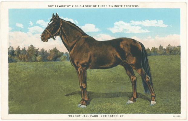 Guy Axworthy, 2:08 3/4 - Sire Of Three 2 Minute Trotters, Walnut Hall Farm, Lexington, KY. [Horses]