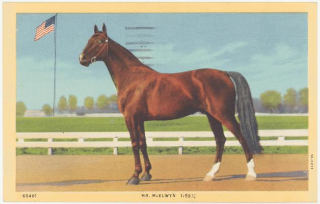 Mr. McElwyn, 1:59 1/4. 2 copies [Horses]