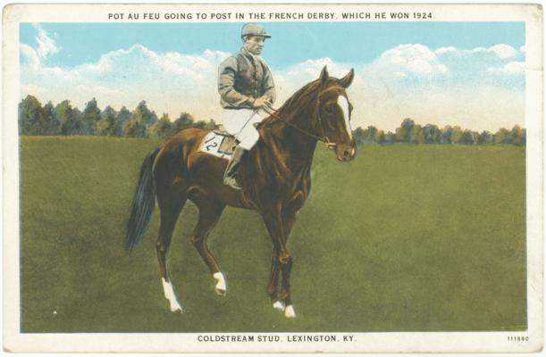 Pot Au Feu Going to Post in the French Derby, Which He Won 1924, Coldstream Stud, Lexington, KY. (Printed verso reads: 