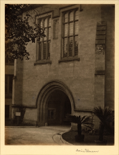 Archway of building with palm trees