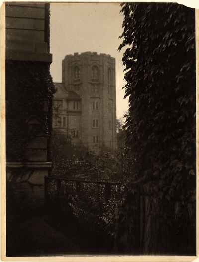 Ivy growing on walls, with large stone building in background