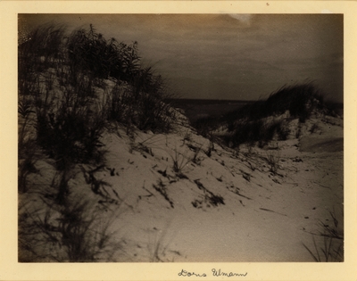 Sag Harbor, Long Island.  Sand dunes with ocean in background