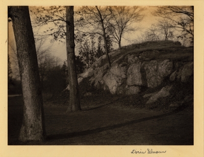 Central Park, Rock formation surrounded by tall trees. [on back] 