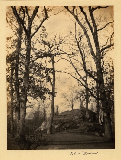 Central Park, Rock formation surrounded by tall trees. [on back] 