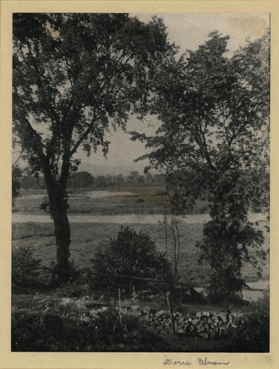 Tall trees, stone wall, and wooden fence, with fields in background