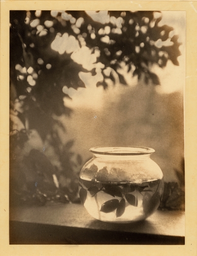 Still life of bowl with roses on windowsill, and tree against sky