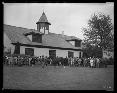 Whirlaway, Calumet Farm; horse being shown outside of                             barn