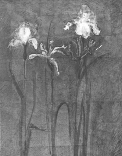 A pastel drawing of three irises by John Tuska